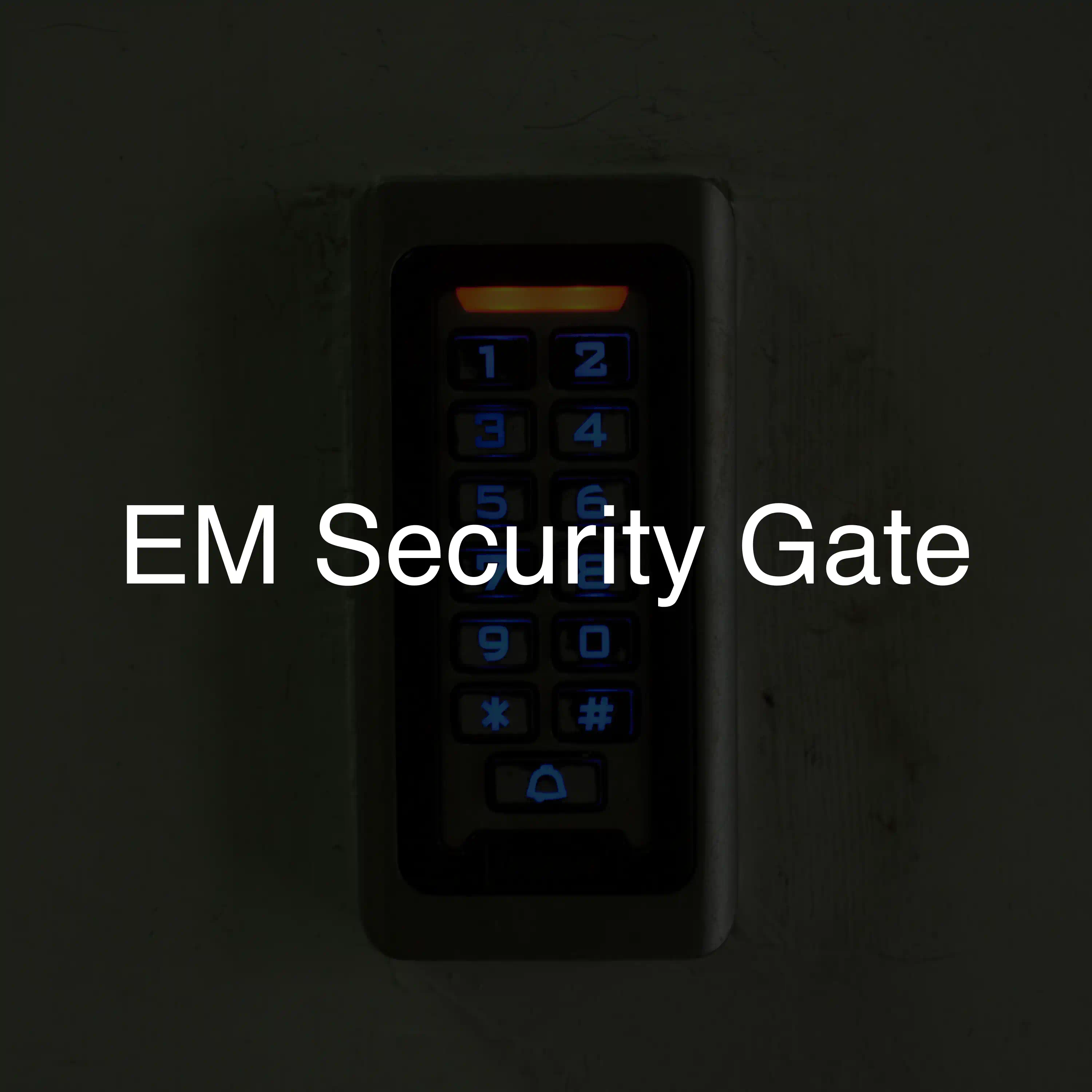 EM Security Gate