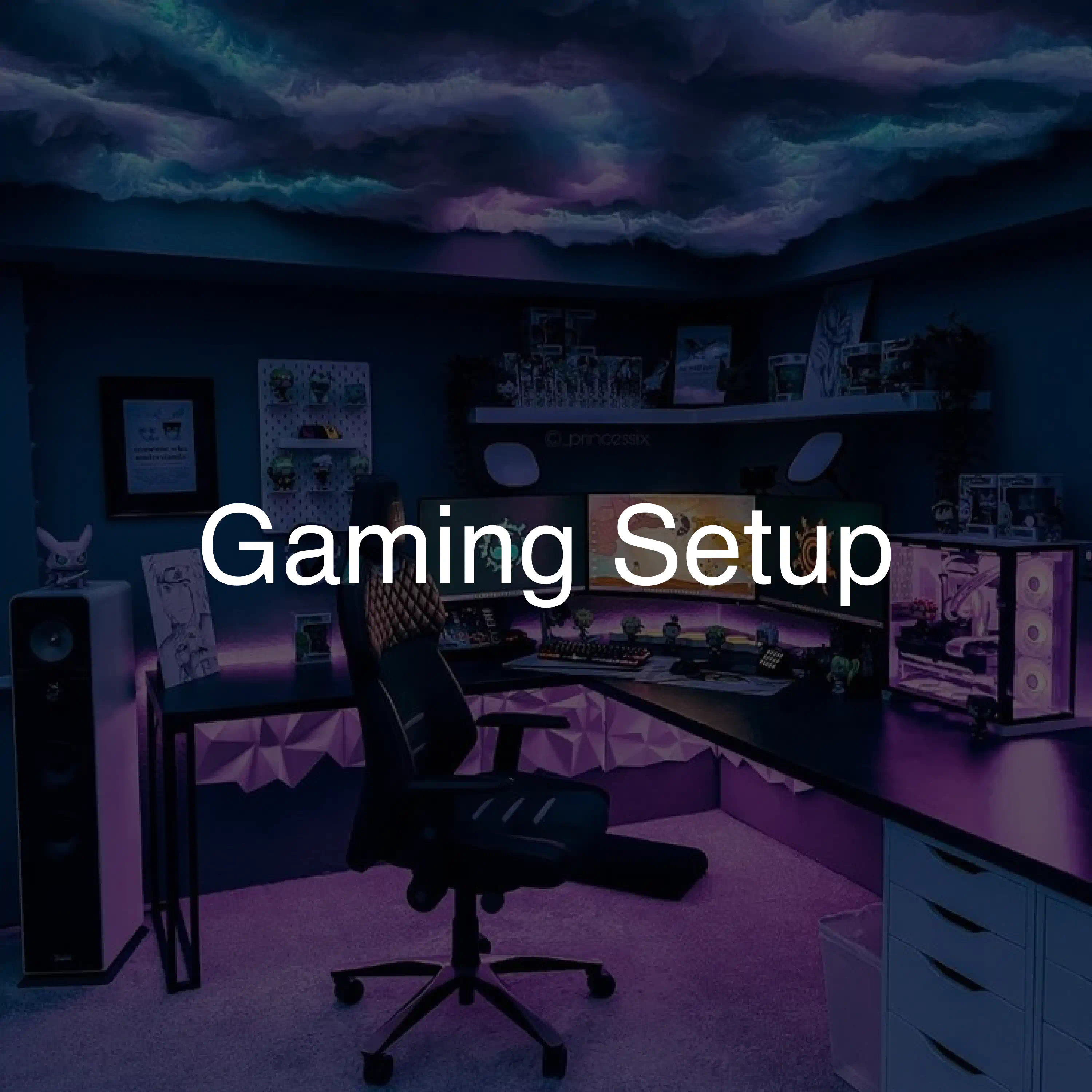 Gaming Setup