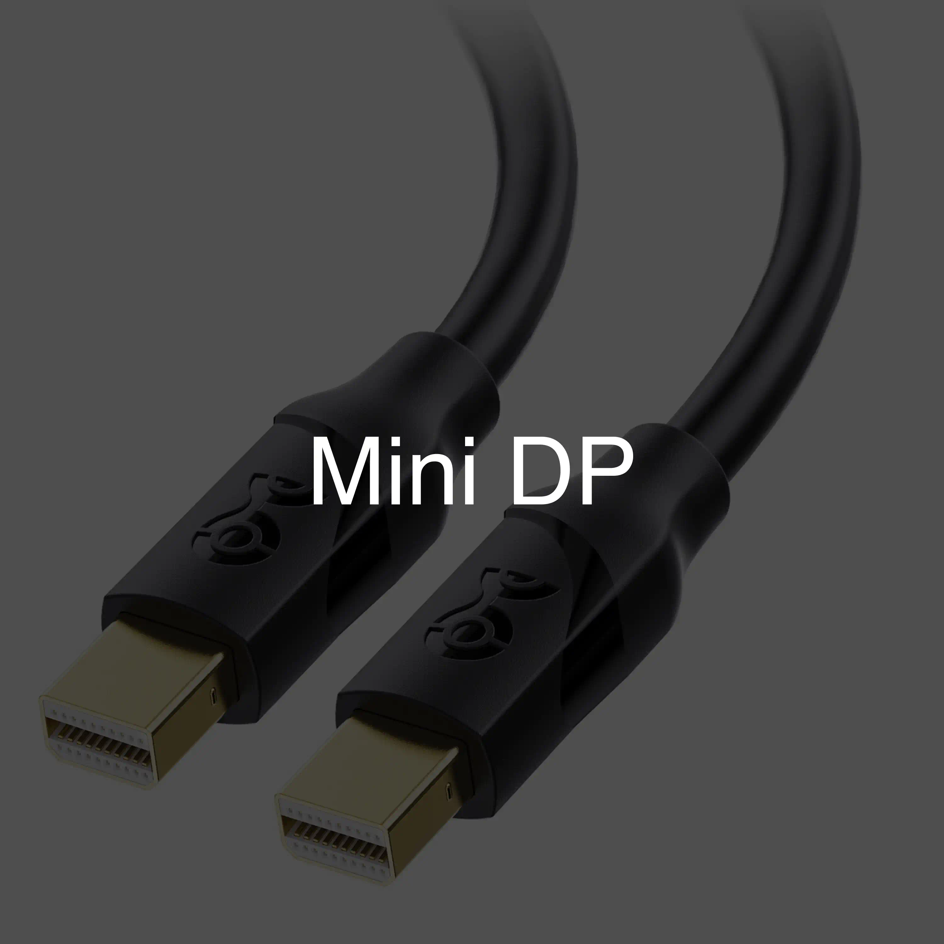 Mini DP